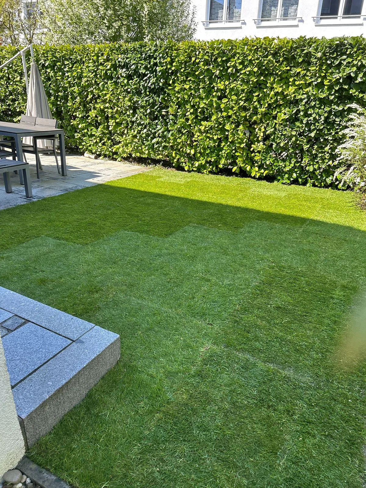 Gepflegter Stadtgarten mit frisch verlegtem Rollrasen und Terrasse